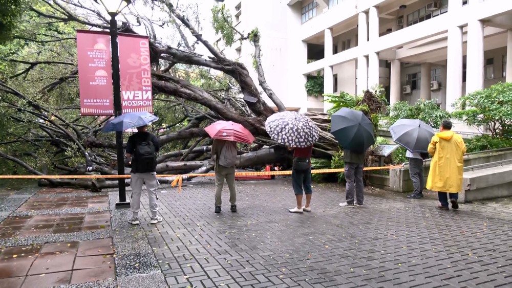 逢甲大學大樹倒塌　4學生受傷 1人傷重不治