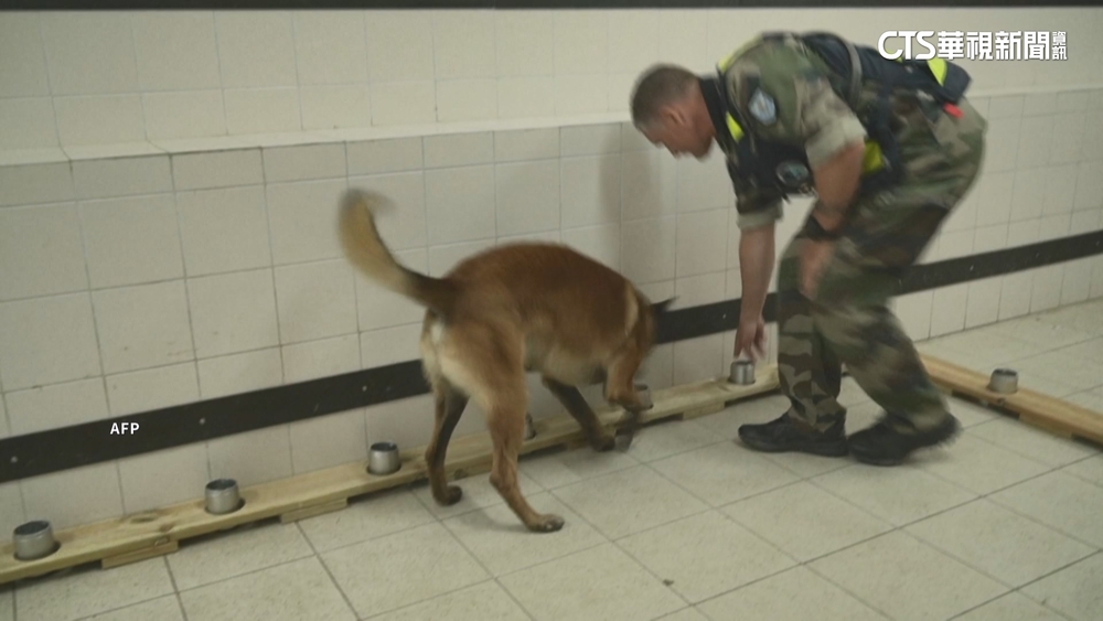 警犬訓練有素　能搜尋隨身碟記憶卡