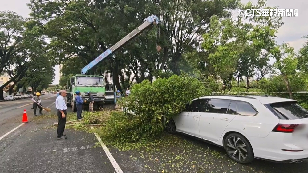 高雄午後熱對流旺盛雨彈狂炸「如颱風」　路樹倒砸車！