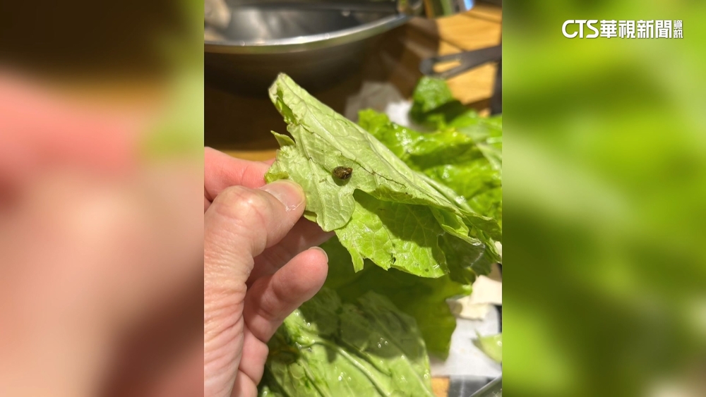 韓式吃到飽生菜驚見蝸牛　客用完餐上吐下瀉
