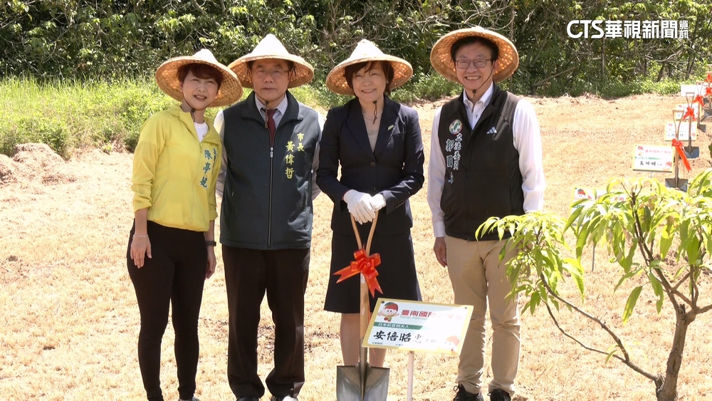 台南芒果節盛大開幕　黃偉哲.安倍夫人聯手種芒果樹