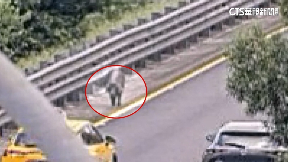 國道「黑豬亂竄」害2車追撞　載豬駕駛：牠自己跳車
