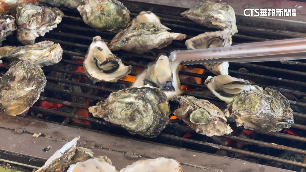 台灣牡蠣年產值「全球第7」　澎湖年產值高達5億