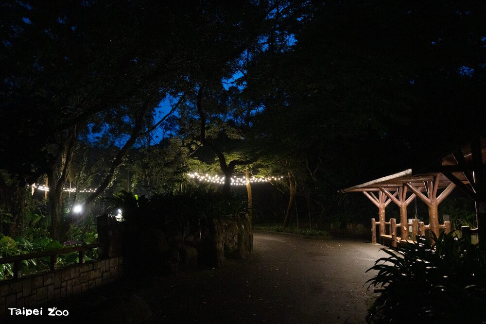 北市動物園7/5起暑假週六延長開放　首開放沙漠澳洲動物區邀民眾「夜FUN野餐趣」