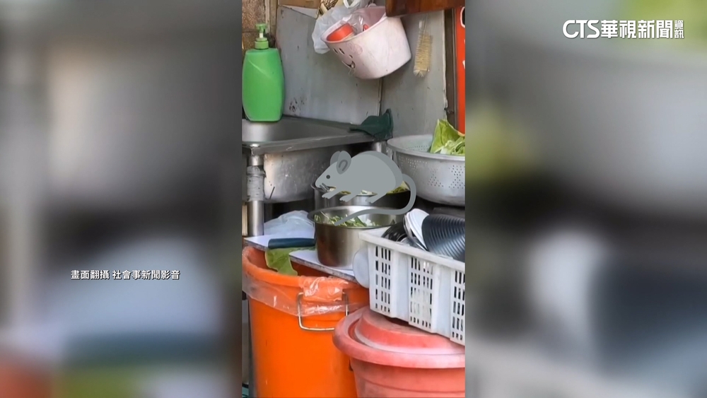 台南臭豆腐店老鼠啃菜？　業者駁「沒賣菜」　衛局稽查
