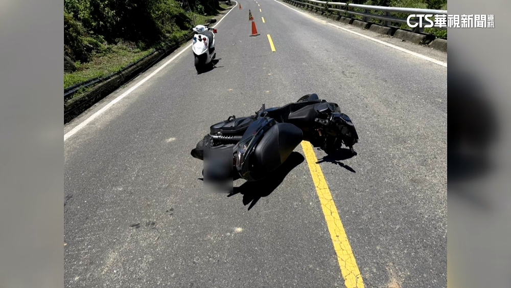 獼猴突襲屏東道路　騎士閃避不及自摔　釀2傷！
