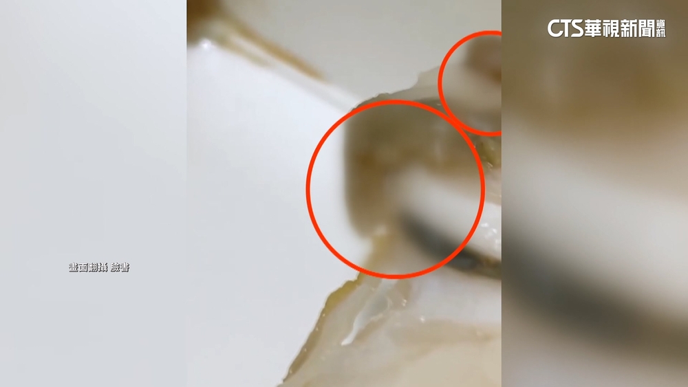 知名壽司疑有蛆！民眾外帶胃口全失　業者：內部調查中