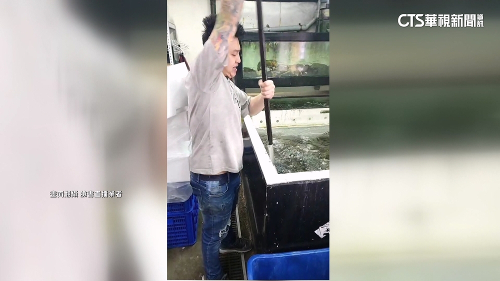搶攻「海鮮經濟」直播主出奇招　水產現煮.現撈拚買氣