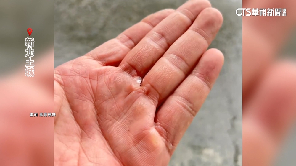 新北.宜蘭連兩天冰雹！　民眾紛紛撿拾.錄影記錄