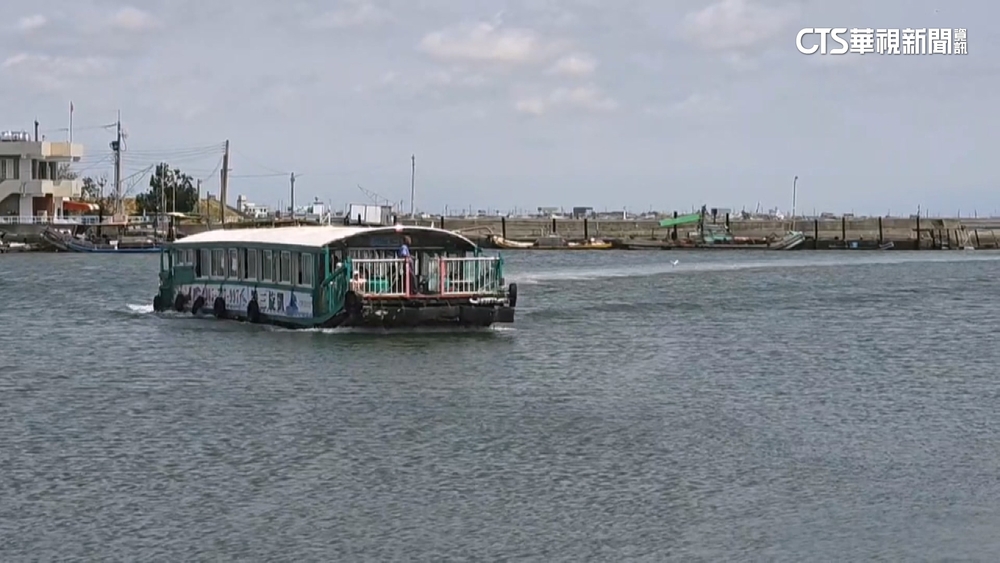 週末出遊！　小琉球加開船班　東石外海白海豚驚喜現身