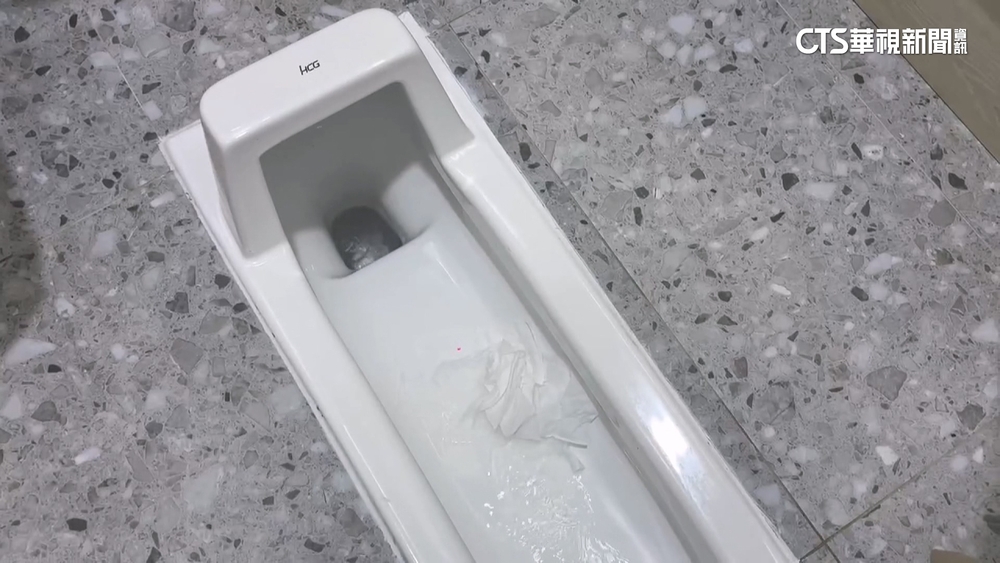 「如廁文化」難推行！　衛生紙丟垃圾桶比例逐年增