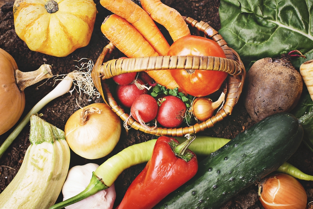 多吃堅果、魚油會聰明？營養師曝「補腦關鍵」　5大營養素別缺少