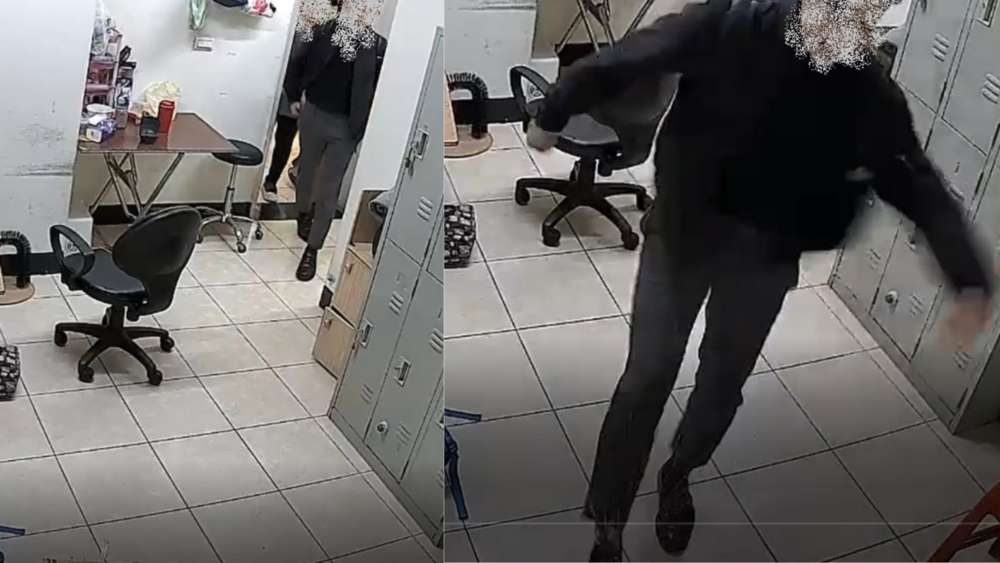 遭店貓攻擊 男友報復怒踹　反致貓受傷 新北動保處開罰1.5萬元罰鍰