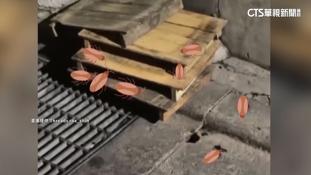 遭控豆腐板爬滿「小強」　餐廳業者：廠商忘收空板子