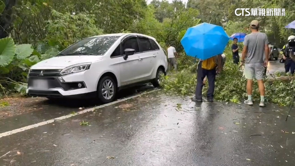 宜蘭礁溪跑馬古道　樹木倒塌壓毀路旁轎車