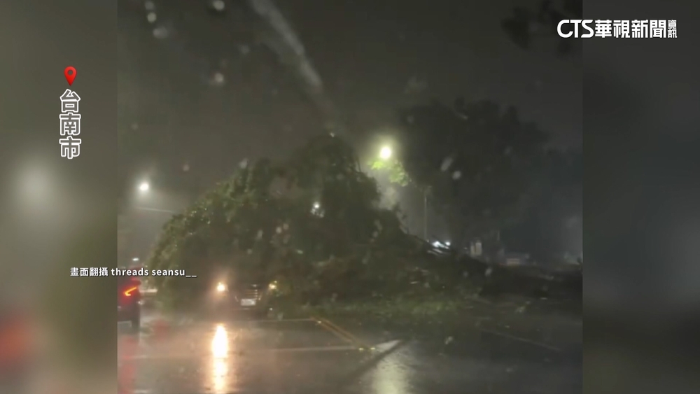 丹娜絲強風吹倒台南路樹　壓中汽車一家三口受困
