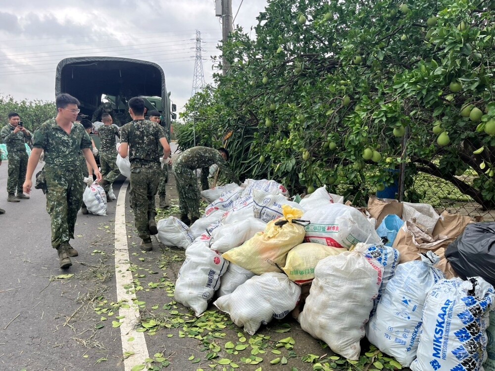 台南麻豆文旦落滿地！果農嘆「做白工」　黃偉哲：加速核撥農損補助