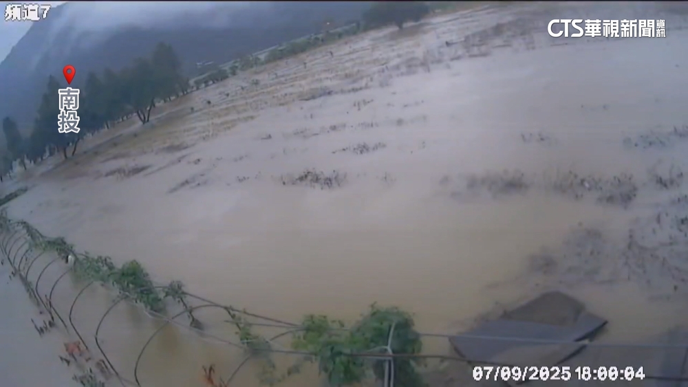 逢雨必淹！　南投金針花田水淹1公尺高成「花海」