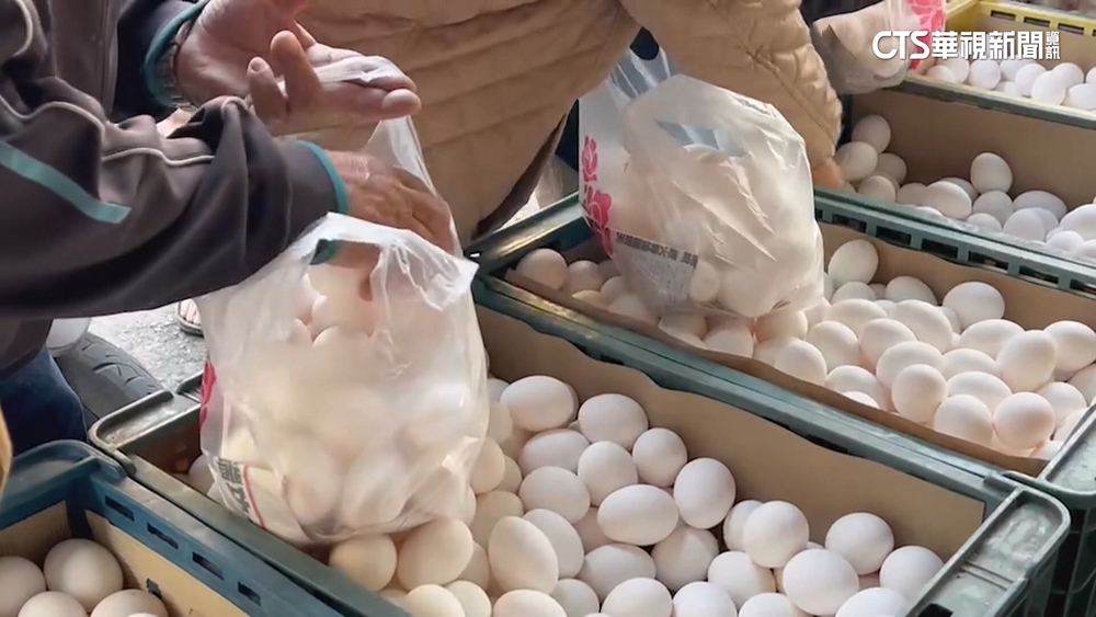 颱風毀雞舍雞蛋產量大減！　蛋價一週「漲6元」