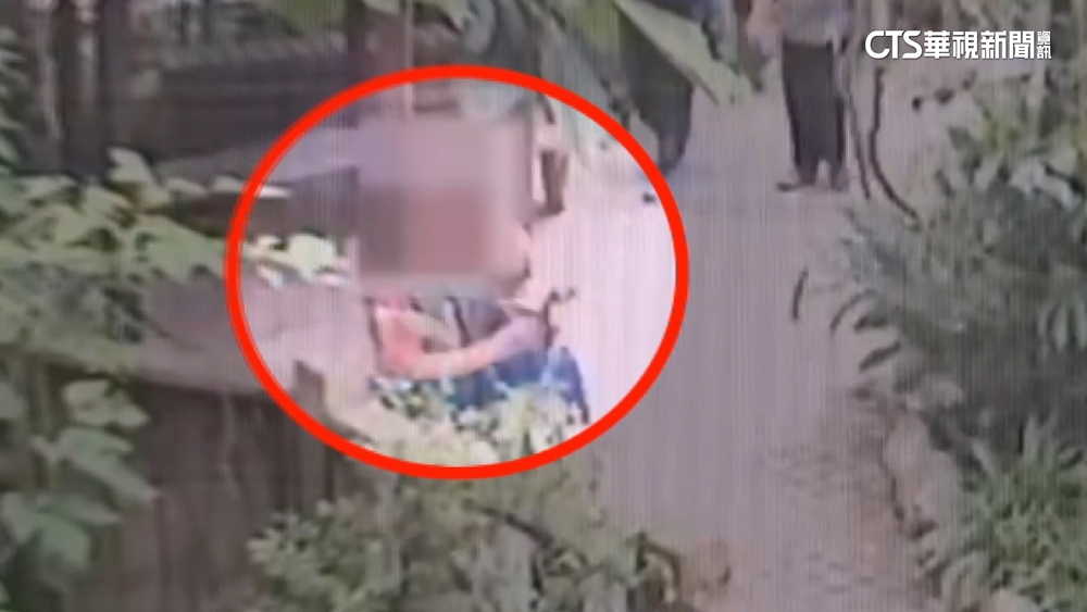 內行？　用汗水「招蜂引蝶」再抓捕　男動物園偷蝶遭逮