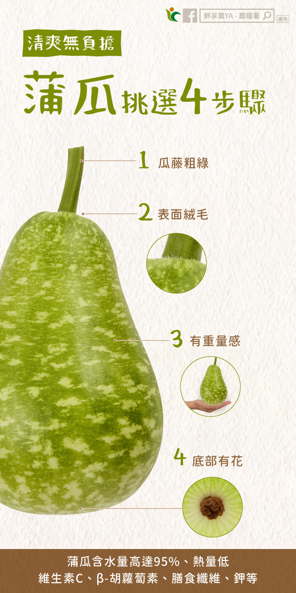 蒲瓜該怎麼挑？農糧署教4招辨識新鮮度　保存、料理一次看　