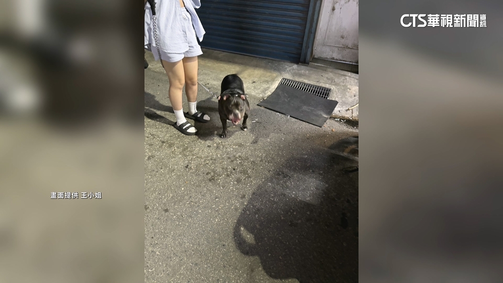 女騎單車被狗咬腳趾求償15萬　飼主只願賠6600