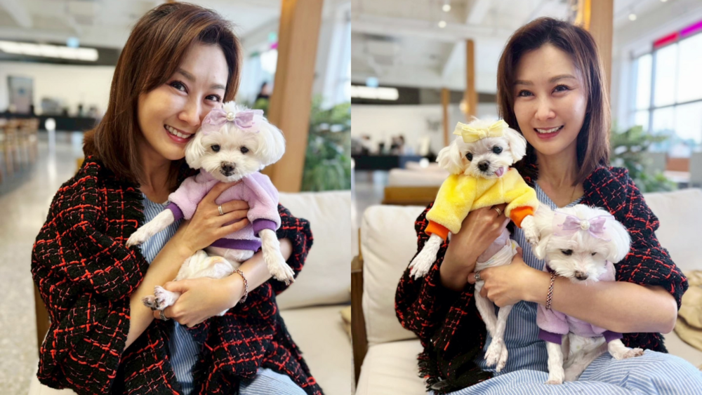 726投票倒數　陳珮騏表態「走出門投票」：隨時可能再也沒有下次投票權利