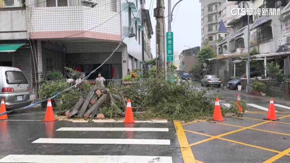 台中樹倒害1轎車2機車受損　阻交通.警封路管制