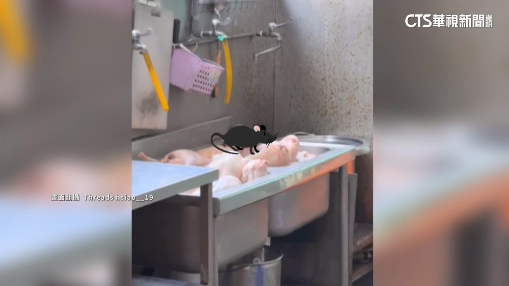 好恐怖! 「大米奇」站在鴨肉堆上 衛生局:將開罰業者