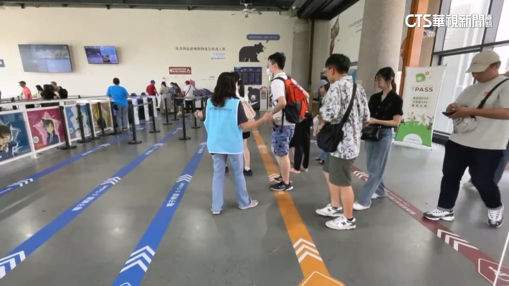 民怨旗津專用道「動線不清」遭占用　輪船公司：將調整