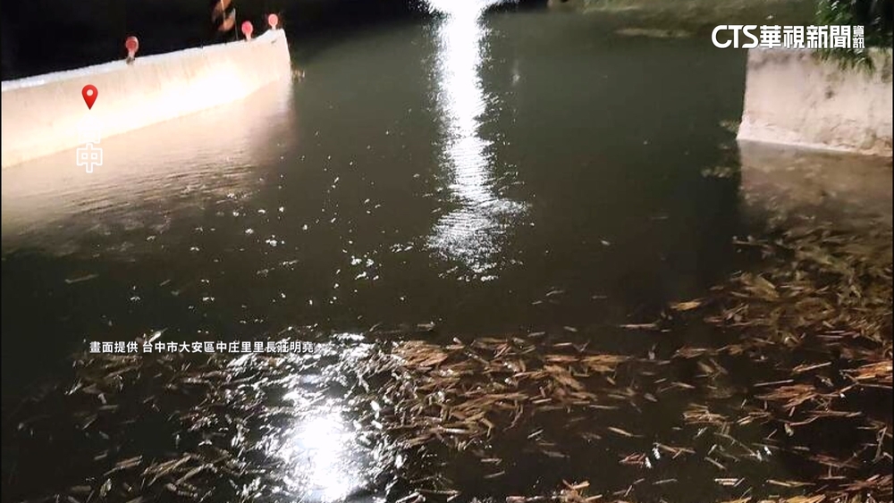 深夜豪雨強襲台中海線釀災　馬路.稻田淹水大停電
