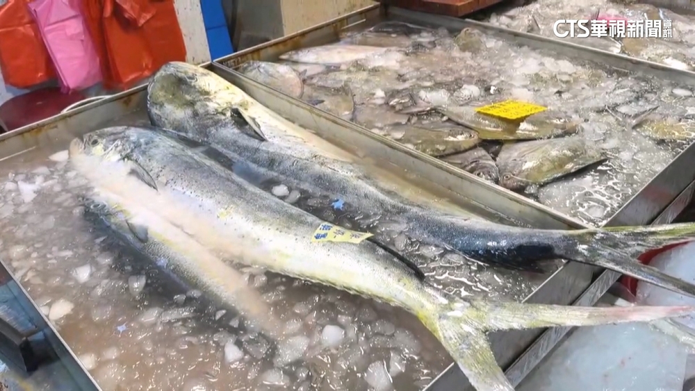 台美關稅拍板！鬼頭刀7成外銷美國　漁民憂衝擊大