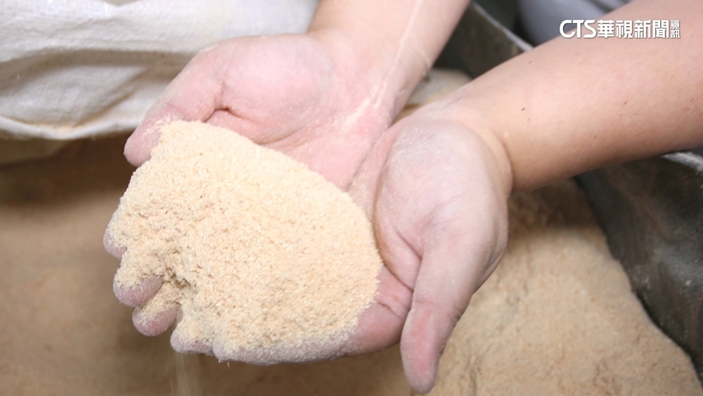 貓中途之家自食其力　貓糞肥計畫「點廢成金」