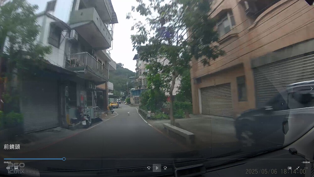 放任愛犬亂跑到馬路遭車輾斃！　新北動保處裁罰飼主、駕駛各1.5萬