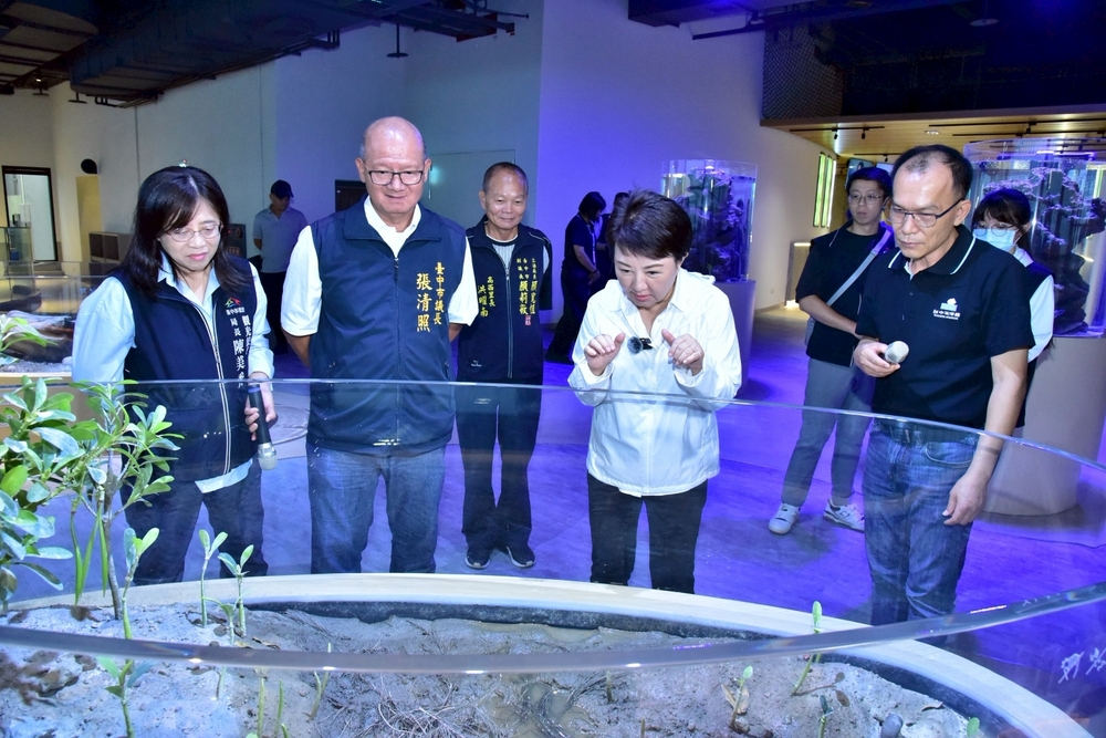 台中海洋館8/21正式對外營運　門票8/8線上開搶、全票種8折優惠