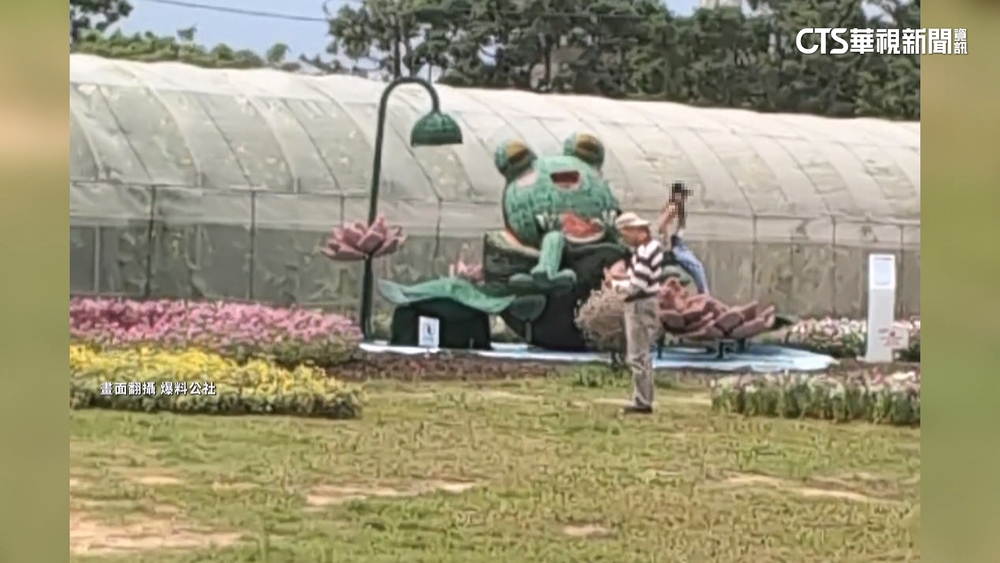 桃園蓮花季爆亂象！　遊客攀爬藝術裝置拍照