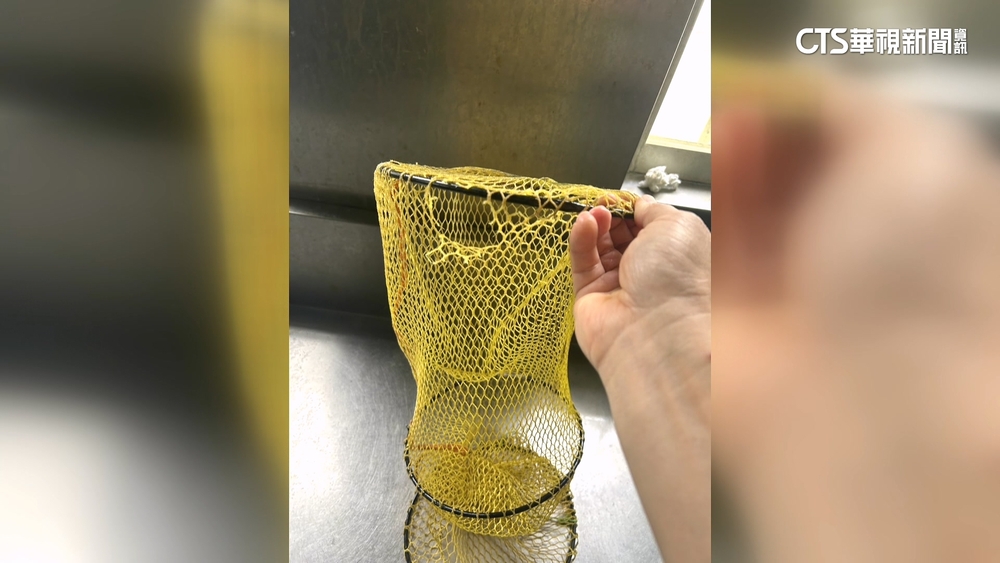 「蝦」忙一場！網破蝦全跑光　業者拒賠稱客沒檢查