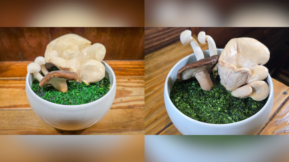 Have a 菇 Day　拉麵公子推「高雄安全島拉麵」　今明兩天限量販售