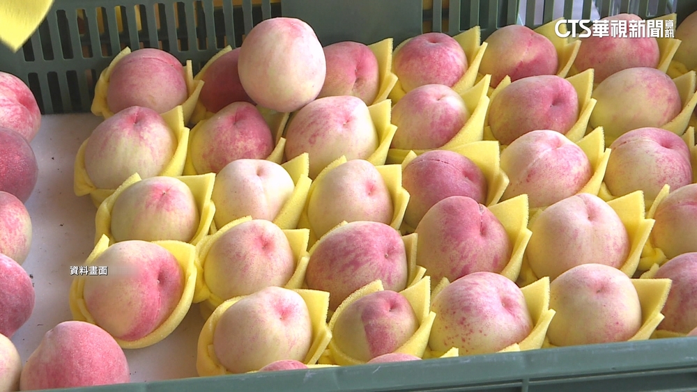 「水果王國」非浪得虛名！　台灣從北到南都有產水蜜桃