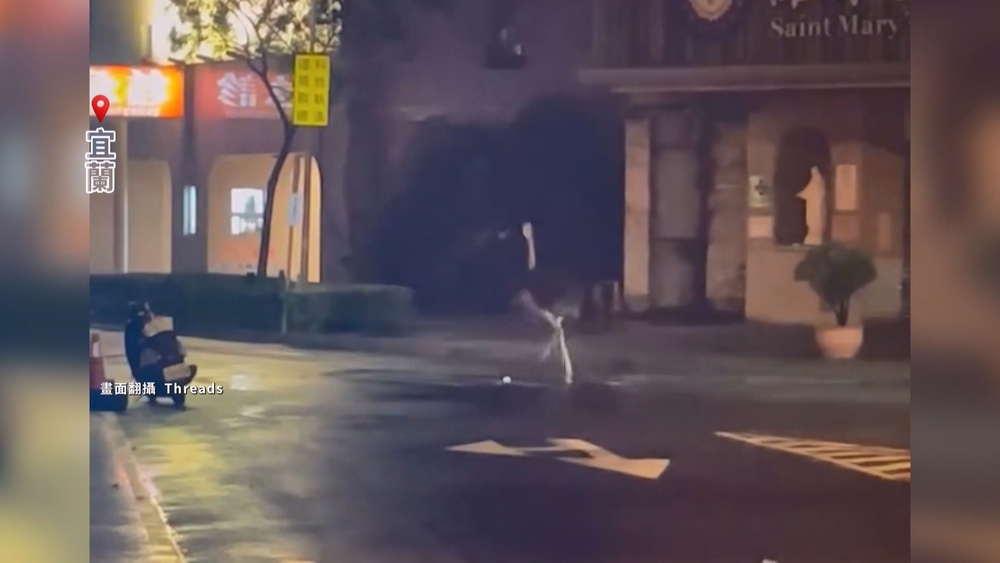 颱風前奇景！　宜蘭驚見「鴕鳥路上狂奔」 網笑翻：換車道沒打方向燈