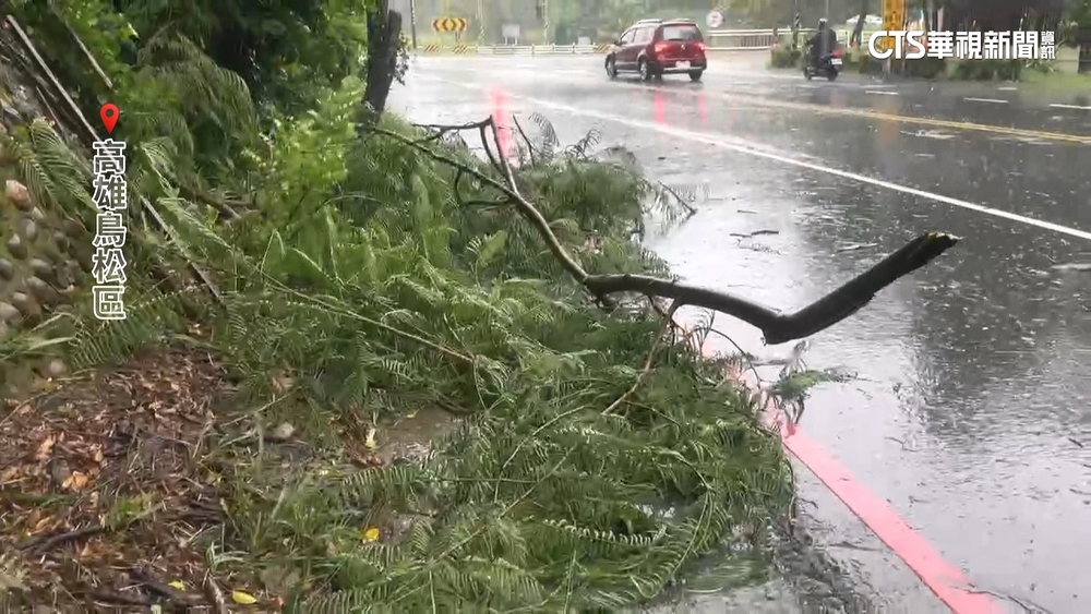 高雄狂颳11級陣風　接連兩起路樹倒砸機車意外