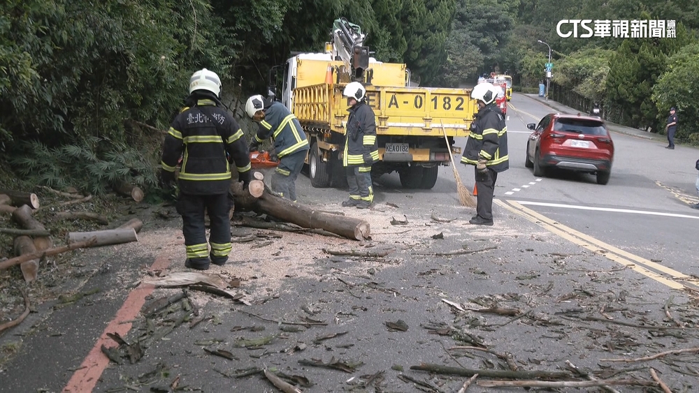 「角隅效應」北部風狂！文大機車.陽金公路大樹遭吹倒