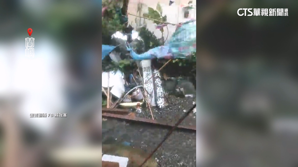 楊柳過境！　蘭嶼掀17級陣風　招牌帆布飛.樹木攔腰斷
