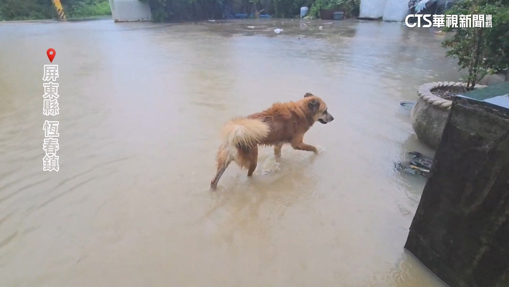 颱風楊柳過境！　屏東多處低窪地區傳淹水災情