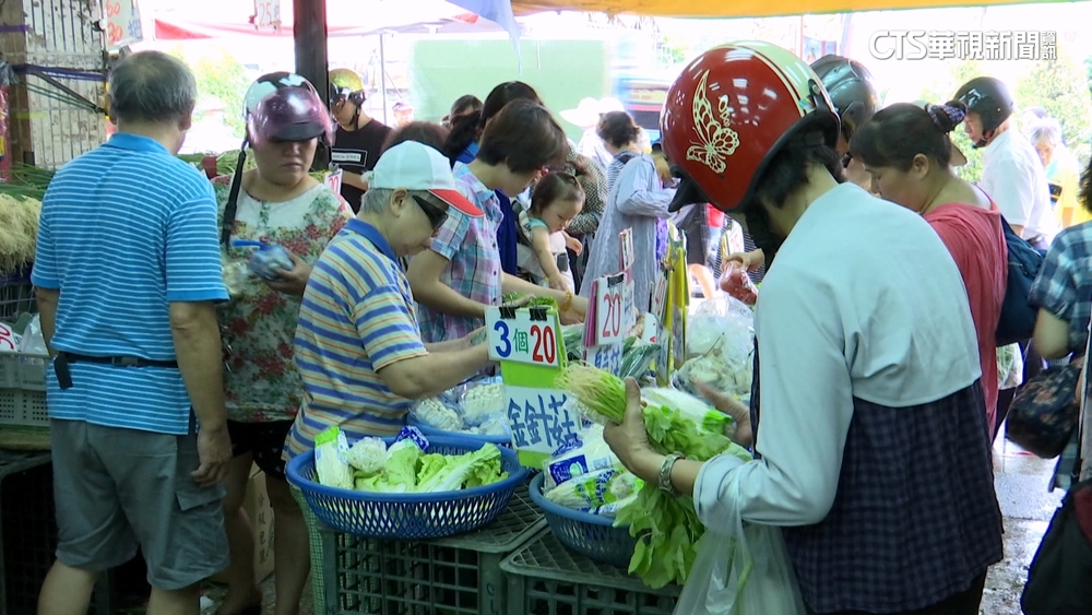 市場捎來好消息！　「1葉菜」價格率先回穩　菜販：不再一把難求