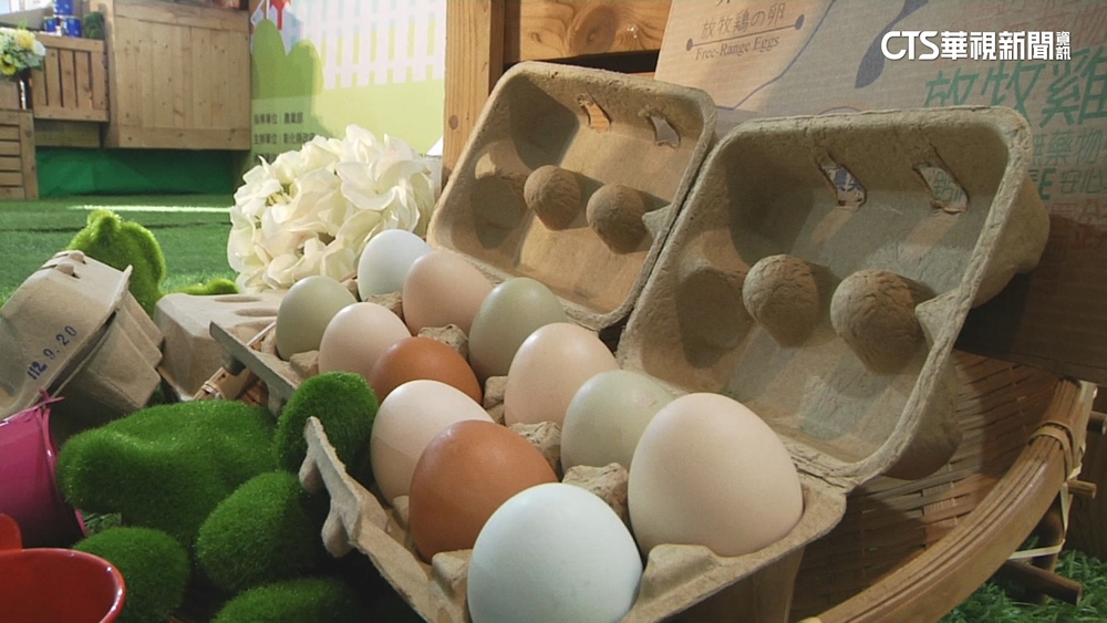 彰化畜產嘉年華9月7日登場　在地優質食材推特色美食