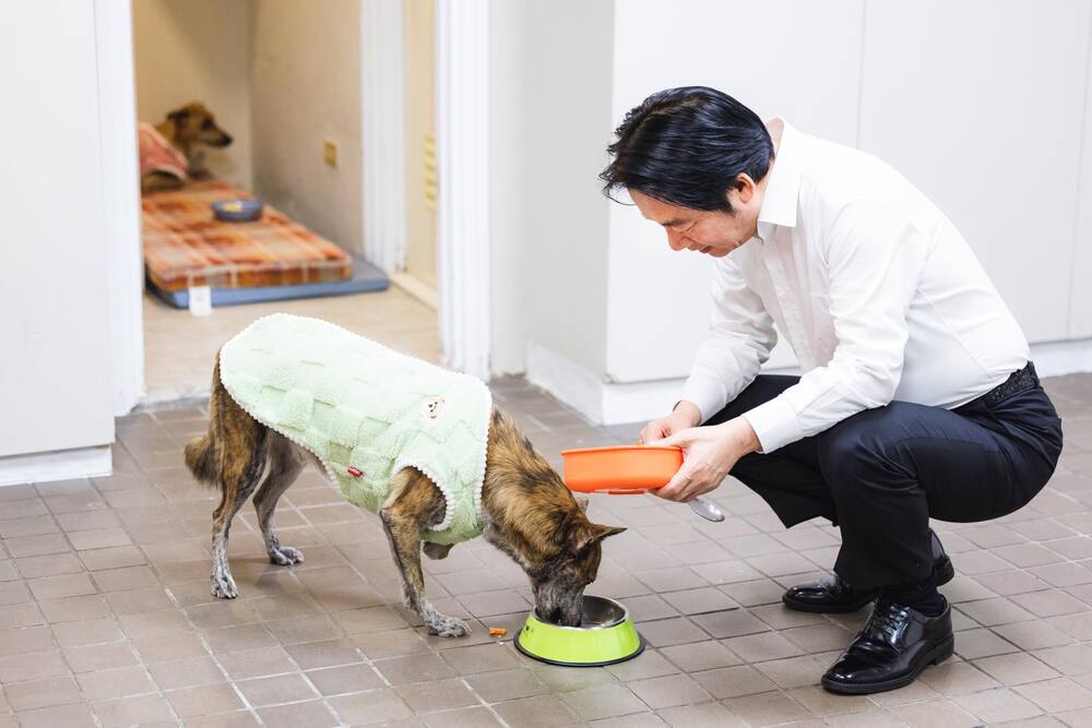 國際狗狗日快樂！賴清德曬愛犬「斑斑」：動物保護不分國界