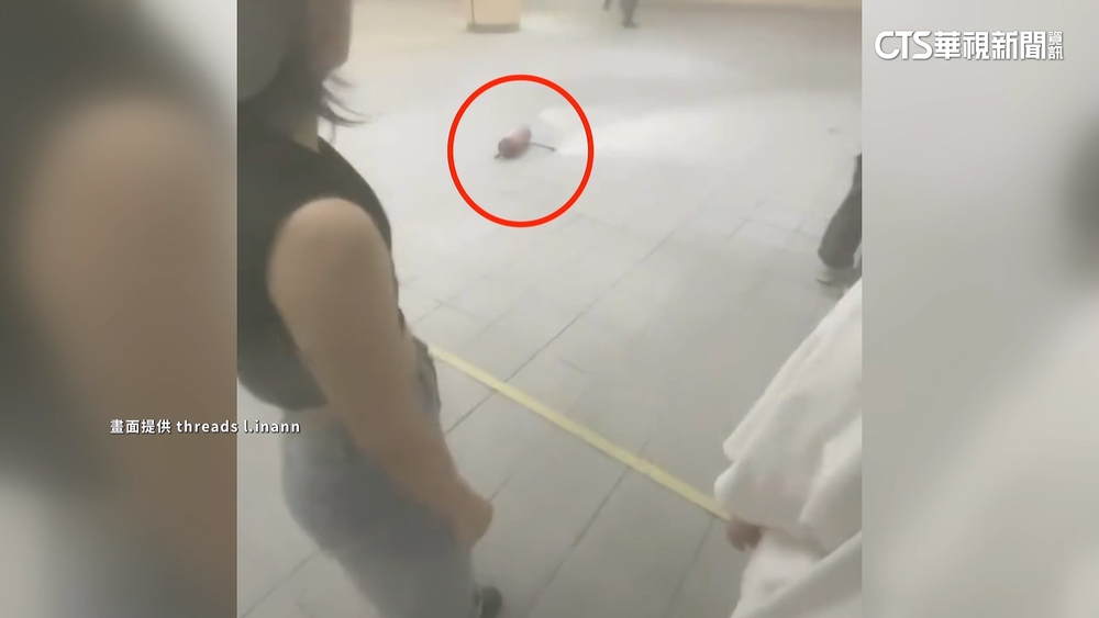 板橋捷運驚魂！男亂噴滅火器　濃煙瀰漫民眾逃命