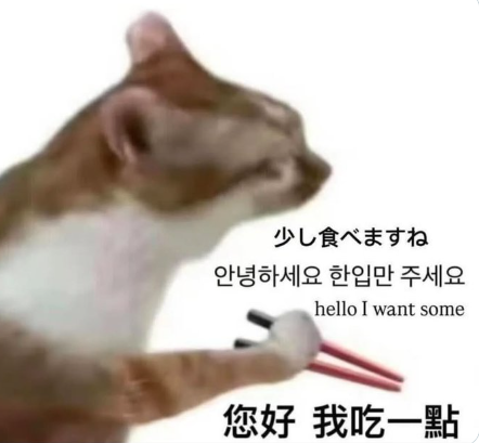 圖片翻攝自  X平台