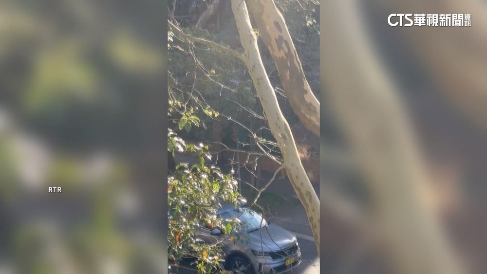 俄駐雪梨領事館遭衝撞　39歲嫌犯當場被捕